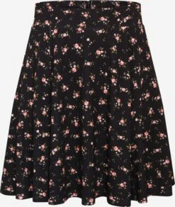 Mini Rokken Rok Lilian Dames Zwart